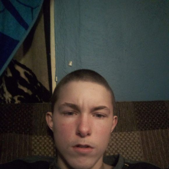 shanehuebner